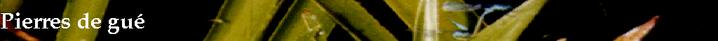 Pierres de gu�
