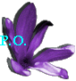 P.O.