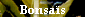 Bonsa�s
