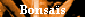 Bonsa�s