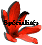 Sp�cialit�s
