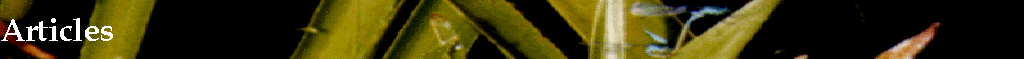 Articles