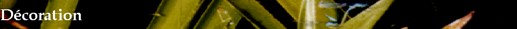 Dcoration