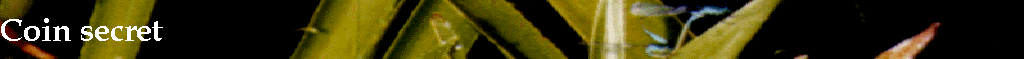 Coin secret