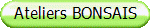 Ateliers BONSAIS