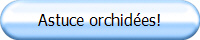 Astuce orchides!